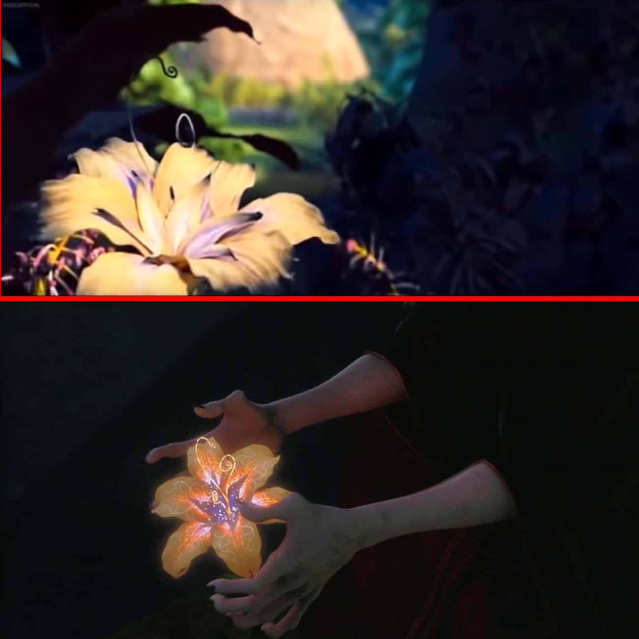 The Disney Animated Universe Shares Botanicals