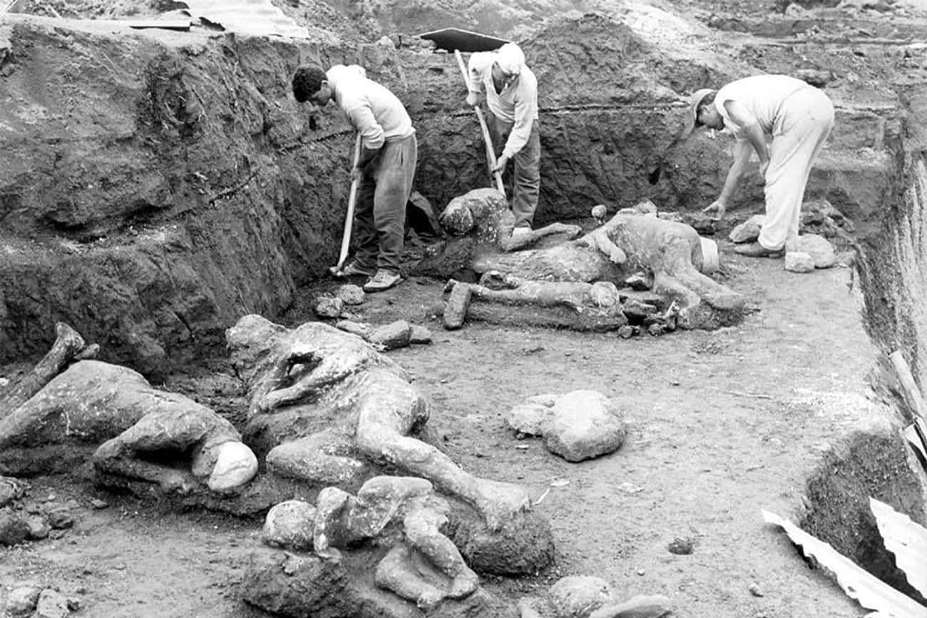 1961: Excavations In Pompeii