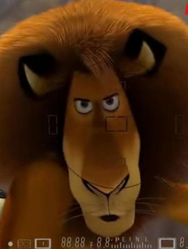 Лев алекс фото DreamWorks Madagascar Alex, the Lion and His Foofie Madagascar : Escape 2 Africa