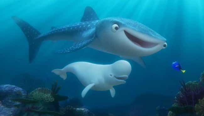 Whales sharks aren't real whales and thus don't communicate like whales, so how could she have taught Dora to speak whale.