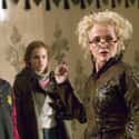 Hermione's Dislike Of Rita Skeeter Prevented The Wizarding World From Learning About Voldemort's Return Immediately on Random Wild Hermione Granger Fan Theories That Are Actually Plausible