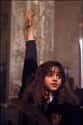 The Reason Why Hermione Is So Smart on Random Wild Hermione Granger Fan Theories That Are Actually Plausible