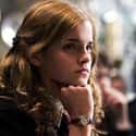 Hermione Isn't Actually A Muggle-Born on Random Wild Hermione Granger Fan Theories That Are Actually Plausible