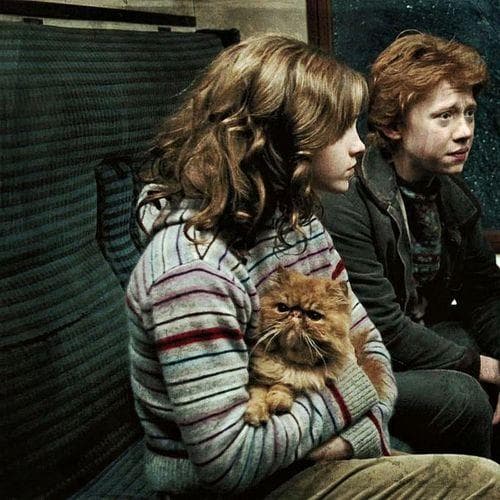 15 'Harry Potter' Headcanons From Fans That We Desperately Want To Believe