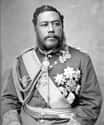 A Hawaiian King Was The First To Travel The Globe on Random Facts About Historical Royals We Just Learned In 2020 That Made Us Say ‘Really?’