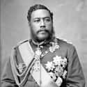 A Hawaiian King Was The First To Travel The Globe on Random Facts About Historical Royals We Just Learned In 2020 That Made Us Say ‘Really?’