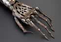 19th-Century Artificial Steel Hand on Random Artifacts We Saw In 2020 That Made Us Say 'Whoa'