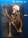 A Human Skeleton From The Submerged City Of Atlit Yam, c. 6900-6300 BC on Random Artifacts We Saw In 2020 That Made Us Say 'Whoa'