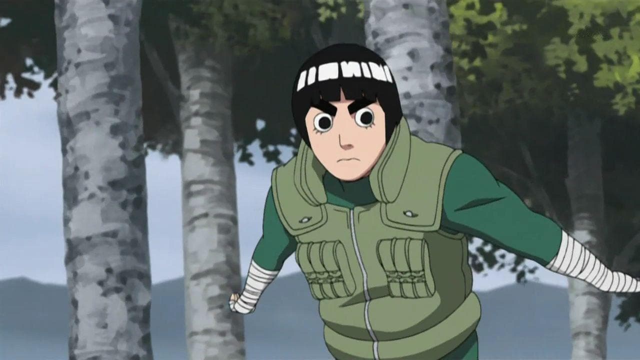 15 Things You Didn't Know About Rock Lee