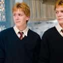 Fred And George Swapped Places So Often That They Shared An Identity  on Random Fan Theories About The Weasley Twins That Are Wild Enough To Be True