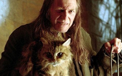 Fan Theories About Minor 'Harry Potter' Characters