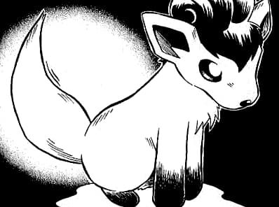 20 Interesting Things You Probably Didn't Know About Fire Pokemon