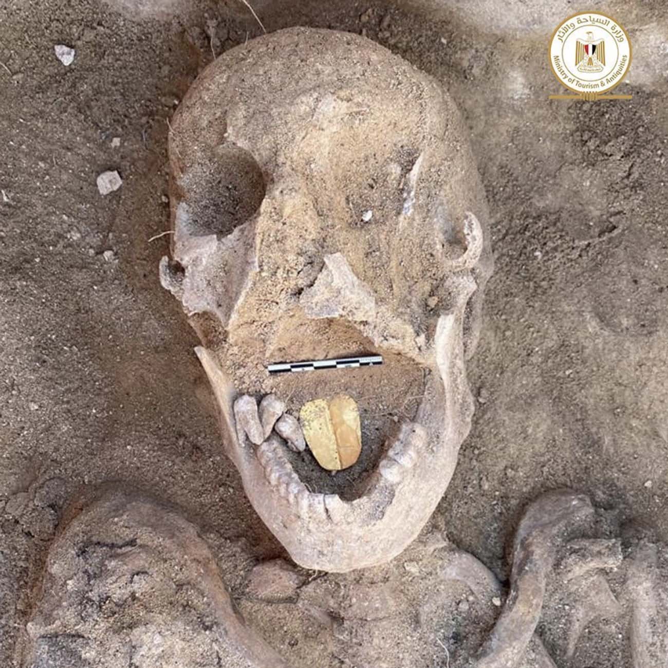A Mummy With A Golden Tongue Was Found In Egypt
