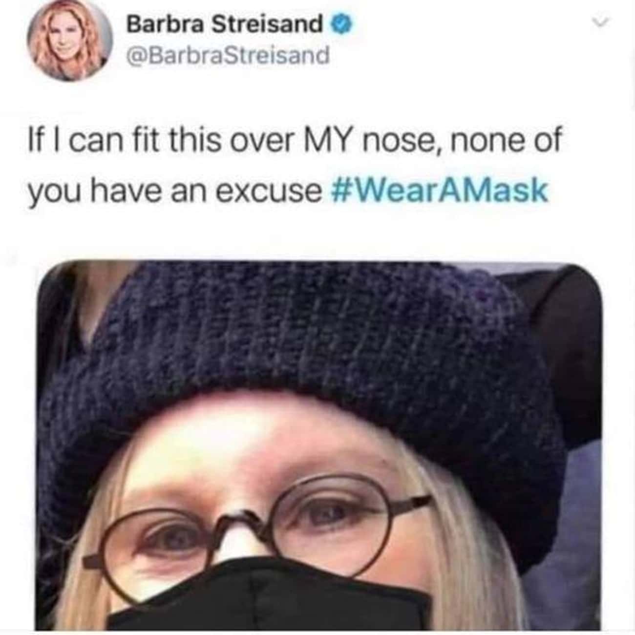 Barbra Streisand celebs / Via: AlbinoInterior / Reddit