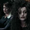 Bellatrix Was Under The Effects Of A Love Potion on Random Fan Theories About Bellatrix Lestrange That Are Wild Enough To Be True