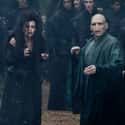 Bellatrix Gave Voldemort A Love Potion on Random Fan Theories About Bellatrix Lestrange That Are Wild Enough To Be True