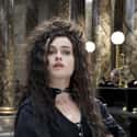 Bellatrix Is Not Delphini's Mother on Random Fan Theories About Bellatrix Lestrange That Are Wild Enough To Be True