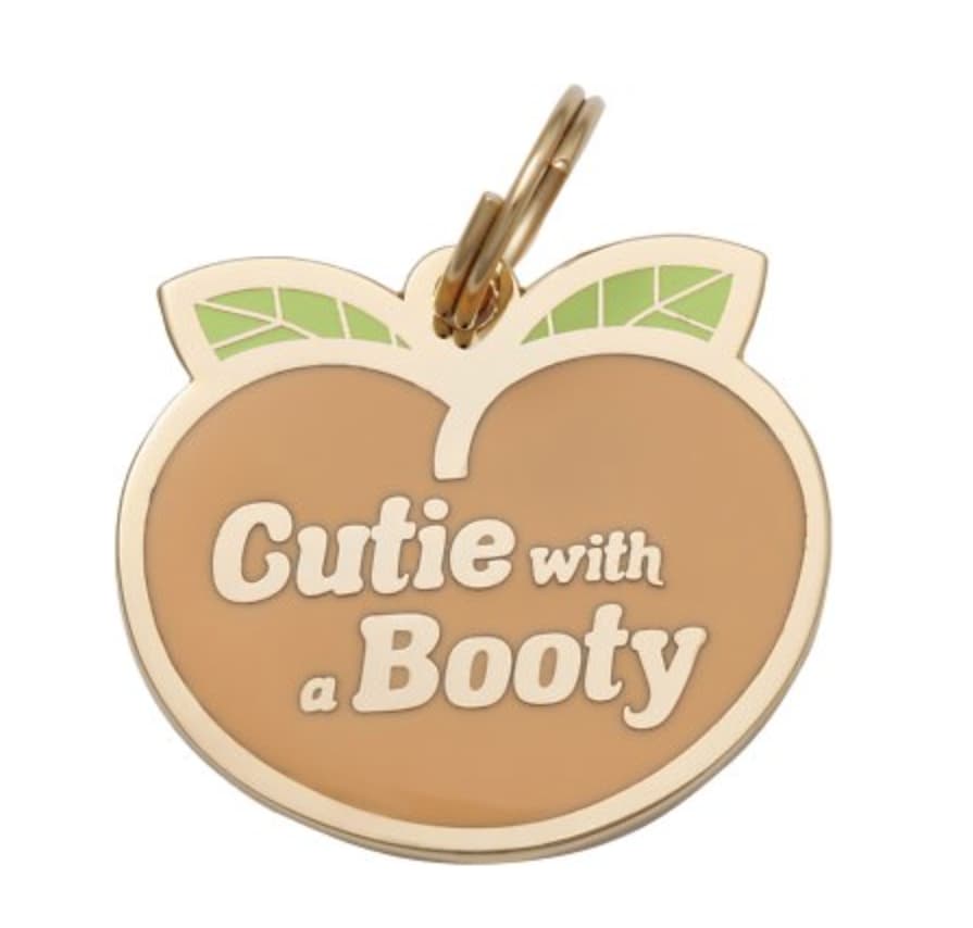 23 Cute And Clever Name Tags For Your Precious Pet