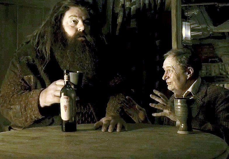 15 Interesting Hagrid Fan Theories That We Really Want To Believe