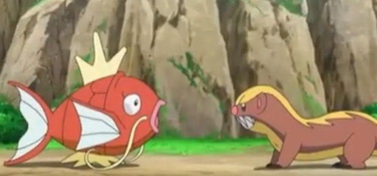 15 Things You Probably Didn't Know About Magikarp and Gyrados