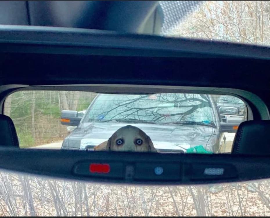 27 Oddly Terrifying Photos That We Can't Unsee So Now You Have To See Them