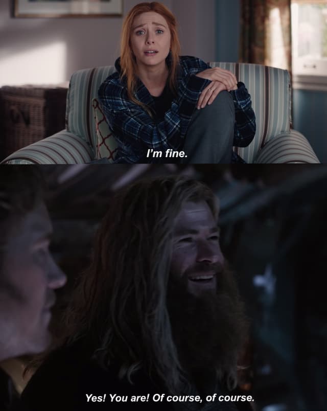 Photo: phantomqueen_13 / Reddit / MCU Memes