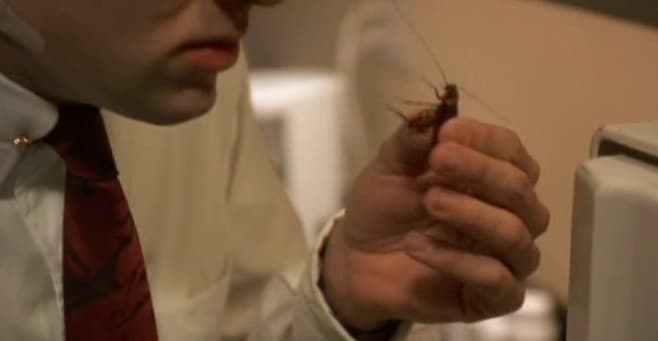 While Filming 'Vampire's Kiss,' He Ate Live Cockroaches - And It Was His Idea To Do It
