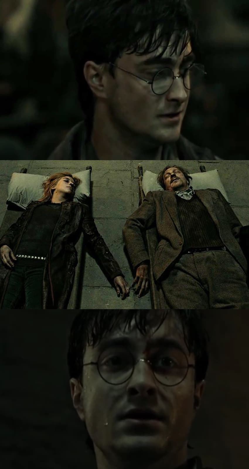 Harry Discovers The Bodies Of Tonks And Lupin