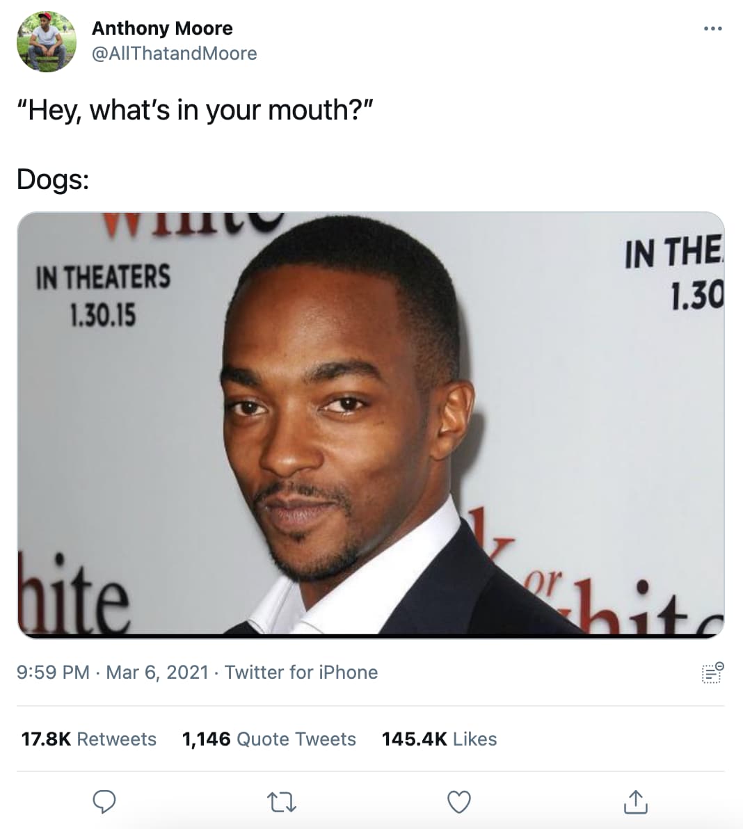 18 Anthony Mackie Memes That Prove He S The Most Hilarious Avenger