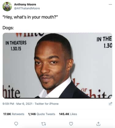 18 Anthony Mackie Memes That Prove He S The Most Hilarious Avenger