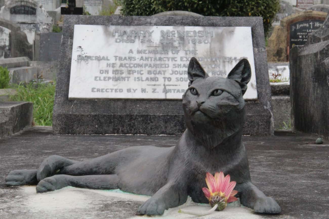 Памятник для кошки на могилу