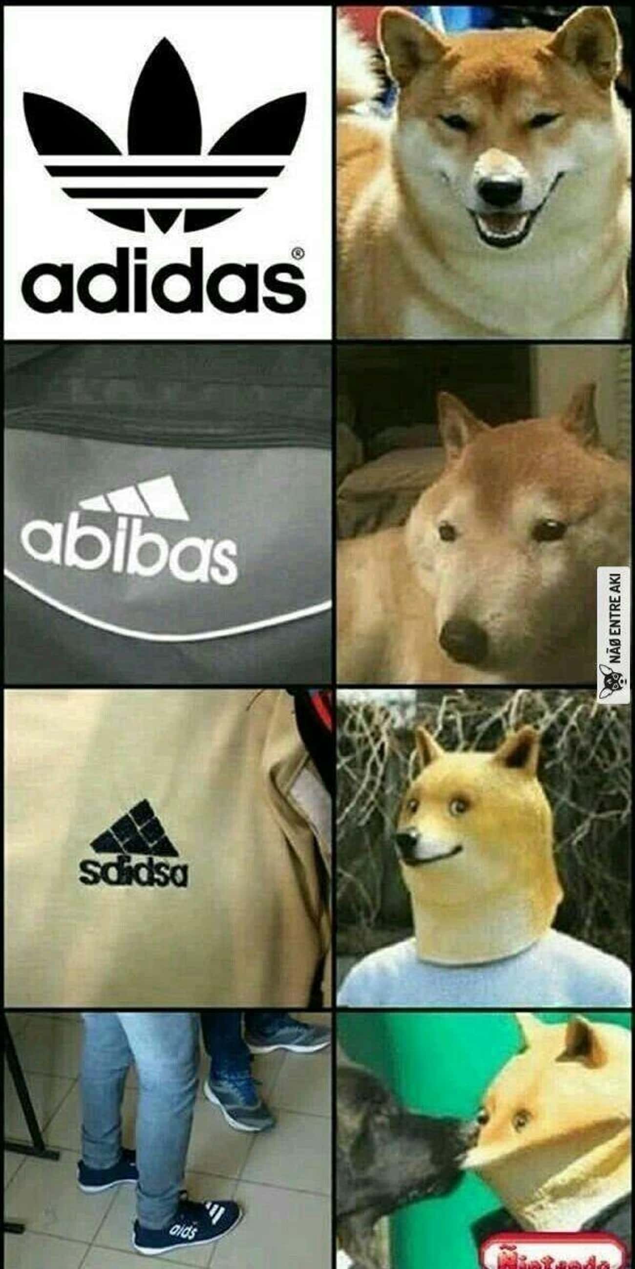 Adidas мемы