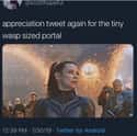 Wasp Sized Portal on Random Fans Point Out Something About The Women Of Marvel We Never Noticed Before