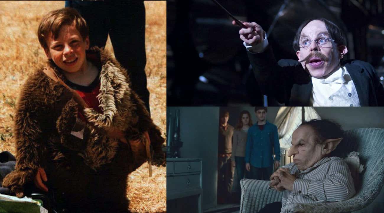 Warwick Davis Played Not One, But Two Different Roles In The 'Harry Potter' Films - He Was Both Griphook And Professor Flitwick. But During The Very Beginning Of His Acting Career, At The Age Of Eleven, His Rare Dwarfism Condition Made Him Perfect To Play The Role Of An Ewok In 'Star Wars'