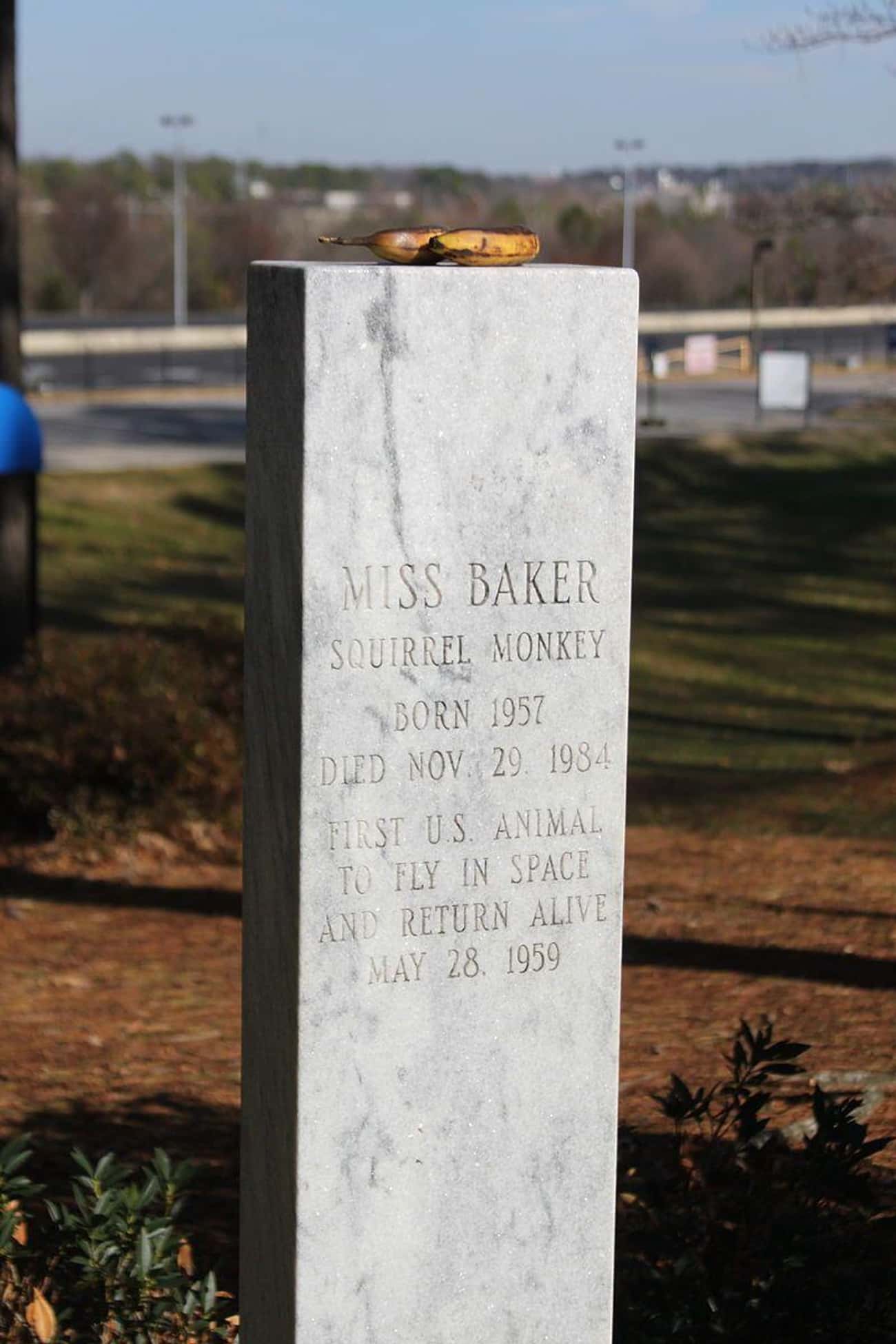 Bananas Sit Atop Miss Baker's Grave