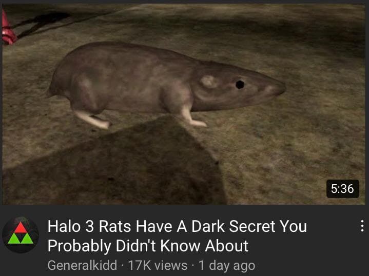 По следу крысы 3. Halo 3 rat meme. Три крысы. Пикча три крысы. Крысы 3 шт