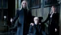 The Malfoys Initially Opposed The Statute Of Secrecy on Random Things You Didn't Know About The Malfoy Family