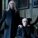 The Malfoys Initially Opposed The Statute Of Secrecy on Random Things You Didn't Know About The Malfoy Family