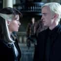Draco Malfoy's Parents Were Against His Marriage To Astoria on Random Things You Didn't Know About The Malfoy Family