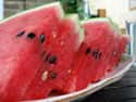 The State Vegetable Of Oklahoma Is The Watermelon on Random Real Facts That Sound Made Up, But Aren't