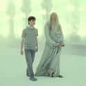 Harry Was In Limbo When He Spoke With Dumbledore on Random Things You Didn't Know About The Battle Of Hogwarts
