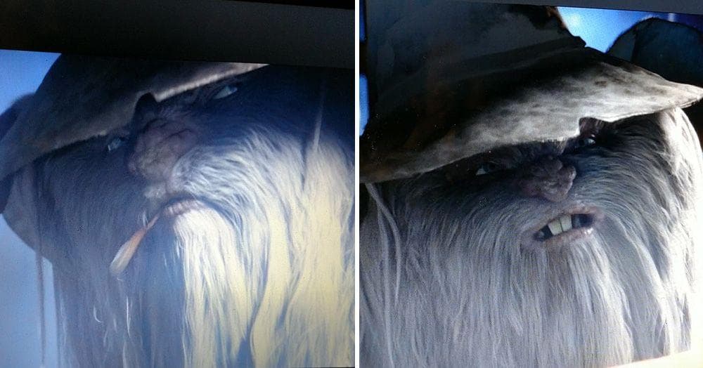 16 Gunslinging And Significant Hidden Small Details Found In 'Rango'