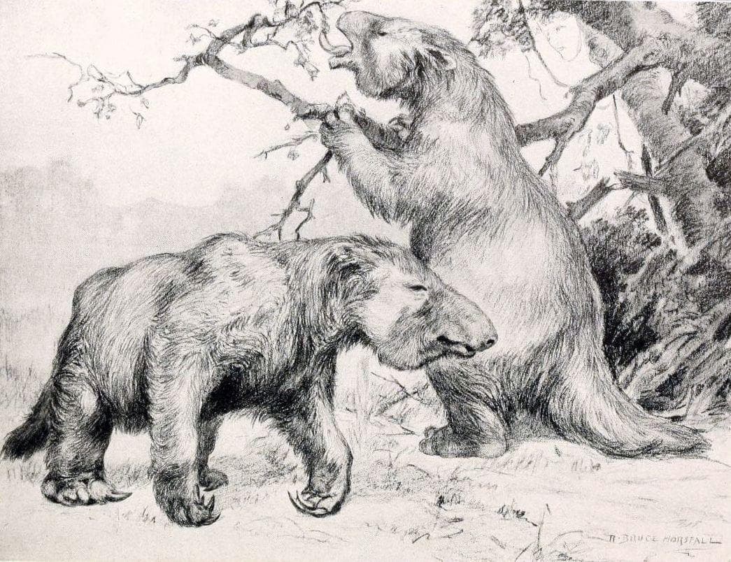 15 Facts About Geologic Time That Made Our Brains Hurt