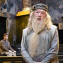 Albus Dumbledore Repeatedly Turned Down The Minister For Magic Position on Random Ministry Of Magic Details Most Harry Potter Fans Don't Know About