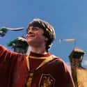 The Ministry Set The First Official Rules For Quidditch In 1750 on Random Ministry Of Magic Details Most Harry Potter Fans Don't Know About