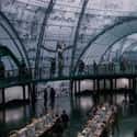 There Are Ministries Of Magic Across The World on Random Ministry Of Magic Details Most Harry Potter Fans Don't Know About