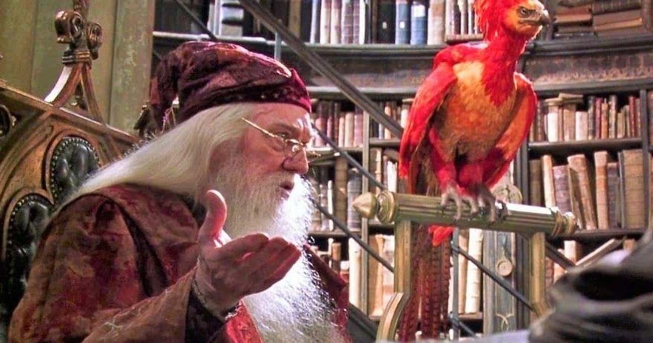 Dumbledore's Phoenix Provided The Core To Harry's Wand