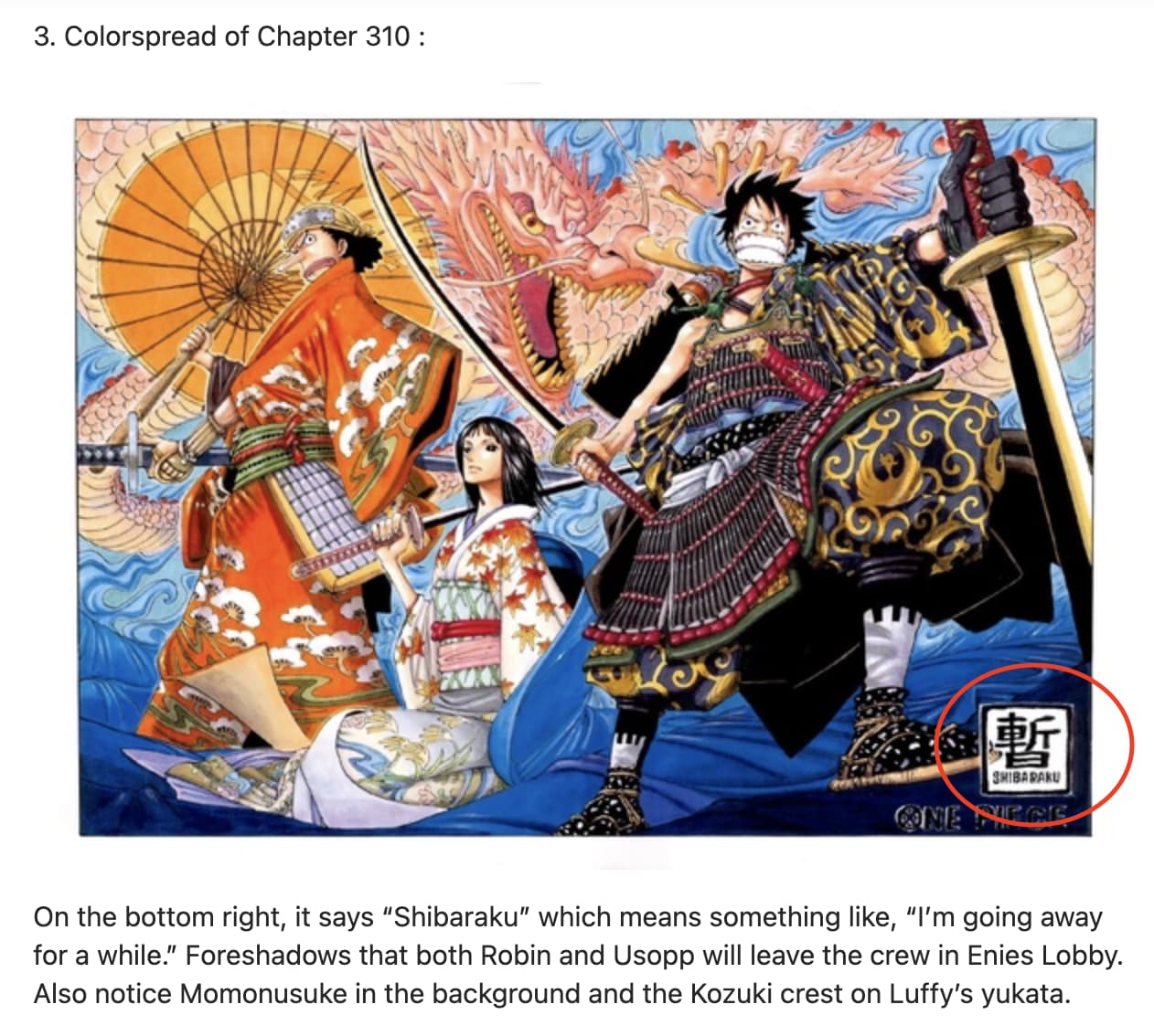 Fans Share Something About One Piece We Never Noticed Before