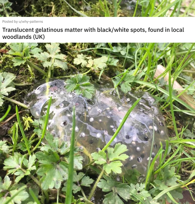 People Are Asking For Help Identifying Weird Objects They Found And The