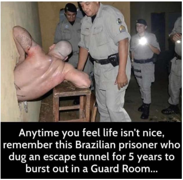 Shawshank Re-Incarceration